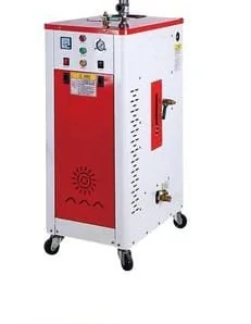 Steam Cleaning Machine (Single-Phase)